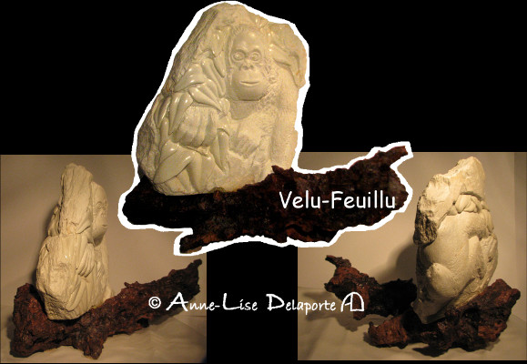 velufeuillu